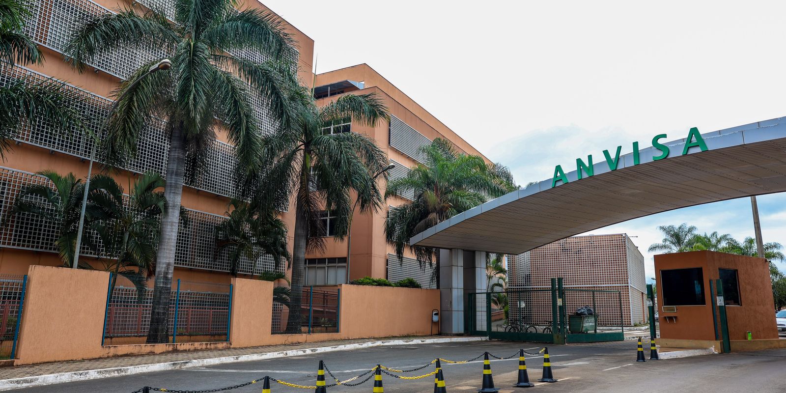 Anvisa proíbe suplemento irregular e suspende lotes de creatina